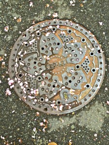 The actual best spot to view cherry blossoms this year, snapped on the way to an interview in Shinsen; photo credit: Jessica Awanohara.