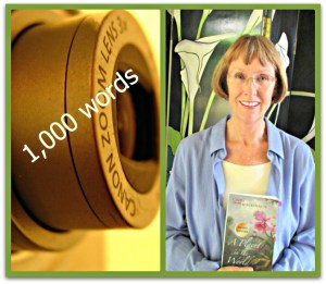 Cinda 1000 Words Collage