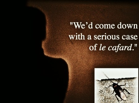 Le_cafard_cockroach