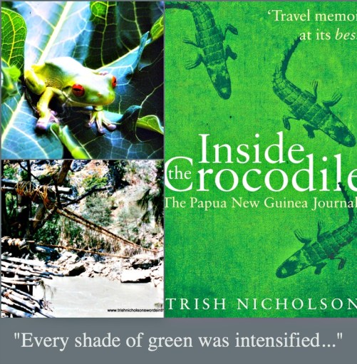 Photo credits: (top) A frog inside the papaya tree, one of many critters found in PNG; one of many disintegrating bamboo bridges in PNG (by Trish Nicholson, supplied).