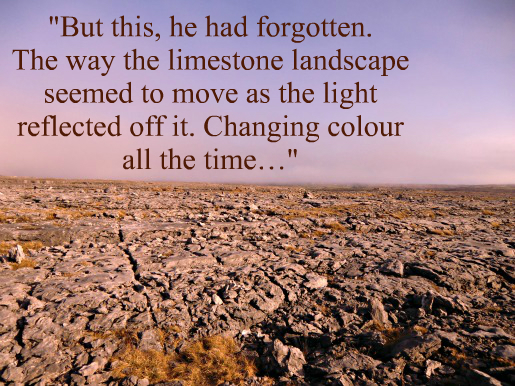 The_Burren_in_the_evening_sun_515x_quote